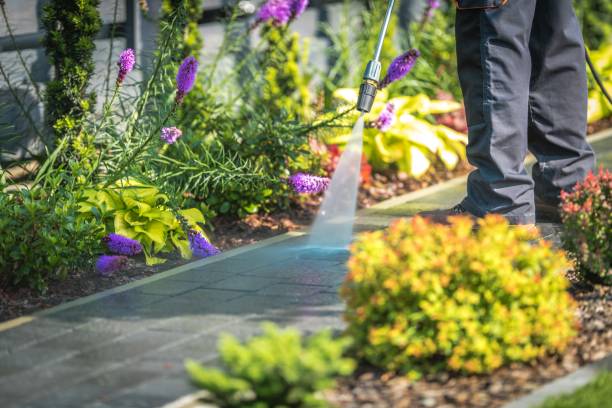 Best Parking Lot and Garage Cleaning  in Welby, CO